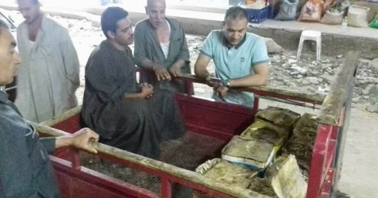 ضبط 160 كيلو سمك مملح فاسد بأبوقرقاص بالمنيا