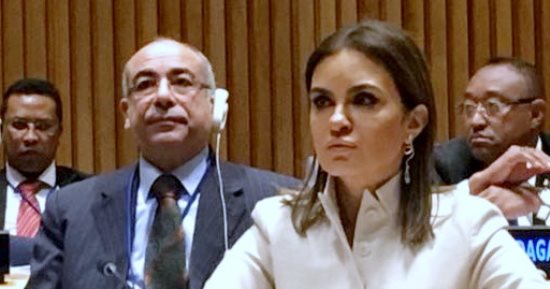 مصر تلقى بيان المجموعة 77 والصين أمام المجلس الاقتصادى للأمم المتحدة