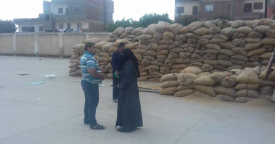 توريد 128 ألف طن قمح لصوامع وشون الدقهلية