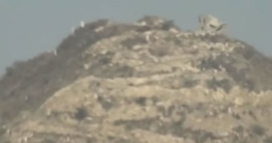 الجيش اليمنى مدعوما بالتحالف يخلى مرتفعات وسط تعز من أسلحة الحوثى
