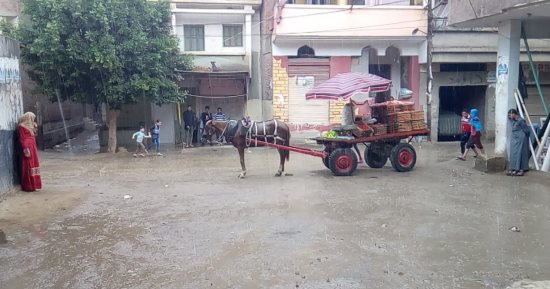 صور.. موجة رعدية ممطرة تضرب محافظة الشرقية