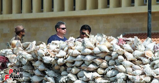 صورة اليوم.. عمار يا إسكندرية يا جميلة يا ماريا