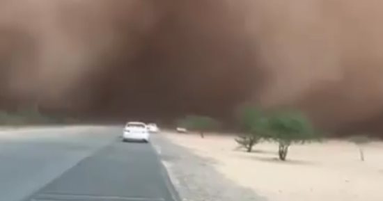 عاصفة استوائية تضرب اليابان مصحوبة بأمطار غزيرة