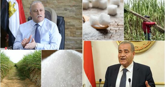 رغم انخفاض سعر السكر الأبيض عالميا.. الحكومة تواصل استلام القصب من المزارعين بسعر 720 جنيها للطن لدعمهم.. القابضة الغذائية: ارتفاع معدلات التوريد لـ7.8 مليون طن.. ولأول مرة المخزون الاستراتيجى يكفى 8 أشهر