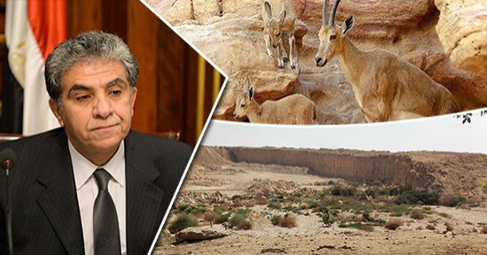 فى اليوم العالمى للتنوع البيولوجى.. البيئة: شبكة لربط 30 محمية طبيعية.. وبرامج للسيطرة على التجارة غير الشرعية فى الحياة البرية.. ومصر تتوج جهودها باستضافة مؤتمر اتفاقية الأمم المتحدة للمرة الأولى نوفمبر المقبل
