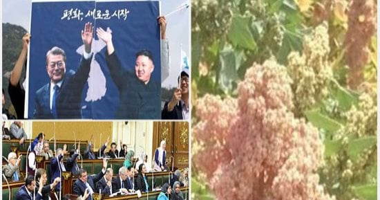 أسئلة اليوم الشائعة.. بعد قرار كوريا الشمالية التاريخى.. هل تتخلى إيران عن مشروعها النووى؟.. ومتى ينعقد البرلمان فى العاصمة الإدارية الجديدة؟.. وهل يمكن أن تصبح الكينوا بديلاً للأرز والقمح فى طعام المصريين؟
