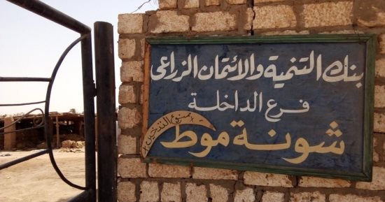 صور.. توريد 8 آلاف طن قمح من المزارعين بالوادى الجديد