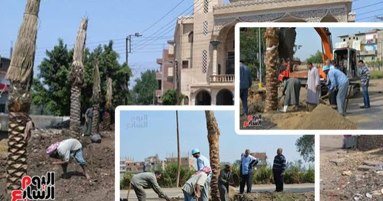صور.. "شباب بيحب الخير".. حملة لتنمية القرى بالجهود الذاتية بزفتى.. الشباب: بدأنا المشروع بزراعة 1000 نخلة بالمداخل.. وإقامة محطتى تنقية مياه شرب بتكلفة 200 ألف جنيه.. أنشأنا جمعية لمساعدة الأيتام والمرضى