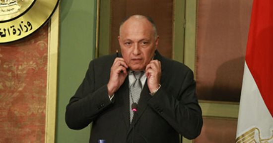 سامح شكرى: فرنسا لم تطلب من مصر إرسال قوات عسكرية إلى سوريا - صور