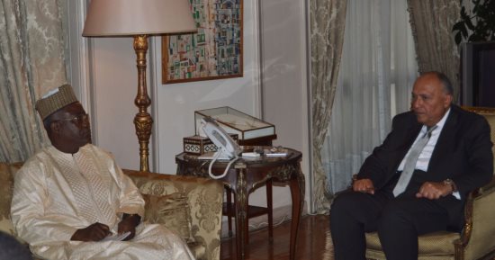 شكرى يؤكد أهمية إنشاء مركز لمكافحة الإرهاب بدول الساحل والصحراء فى مصر