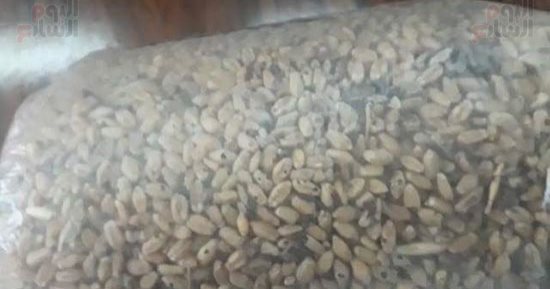 محافظة كفر الشيخ : ضبط 63 طن قمح مخلوط بالأتربة