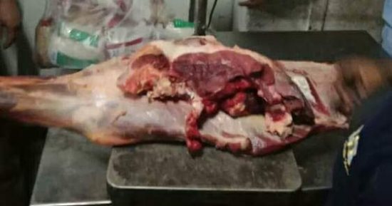 صور.. حملة تموينية مكبرة على المحلات التجارية بالقليوبية 