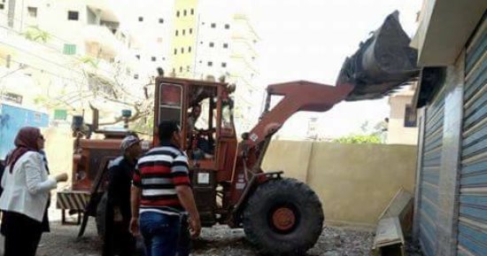صور.. حملة مكبرة لإزالة الاشغالات بدسوق وزراعة الأشجار بالحامول