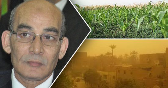ننشر خطة "الزراعة" لمواجهة العاصفة الترابية والطقس السيئ.. تشكل غرف مركزية لإدارة الأزمات بالمحافظات ونشر معدات تحسين الأراضى.. ووحدات طوارئ بالأماكن القريبة من حصاد وتخزين القمح.. وحملات على الخضروات والفاكهة