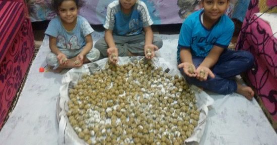 صور.. "الكباب الأقصرى" أبرز مظاهر عزومات "مولد أبو الحجاج"