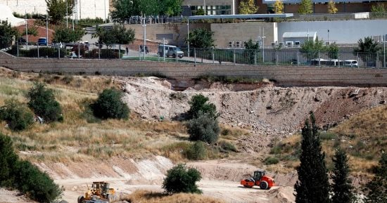 الاحتلال الإسرائيلى يقتلع 350 شجرة مثمرة فى دير بلوط شمال الضفة الغربية