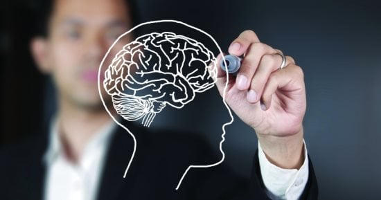 اعرف جسمك.. المهاد منظم حركة الجسم ومستدعى الذكريات