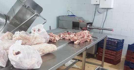 مباحث التموين تضبط ربع طن هياكل دواجن فاسدة بالإسماعيلية.. صور وفيديو
