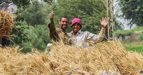 صورة اليوم.. لولى ومشبك على عوده والدنيا وجودها من جوده