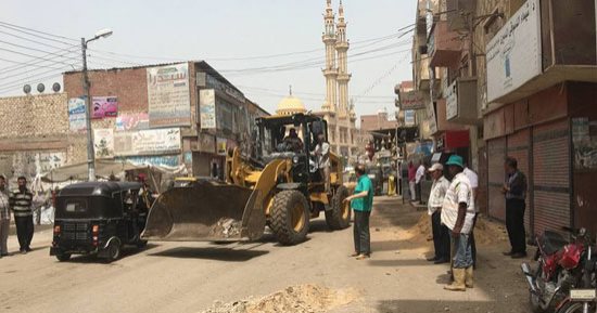صور.. حملتا نظافة وتشجير بمدينتى قلين وبيلا بكفر الشيخ