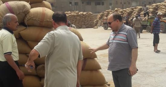 رئيس مدينة كفر الزيات: توريد 9 آلاف طن من محصول القمح