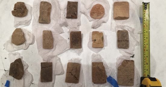 شرطة السياحة تضبط 372 قضية مخالفات وحيازة وتجارة آثار