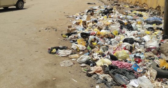 شكوى من تراكم القمامة والحيوانات النافقة خلف حديقة بدر بجسر السويس