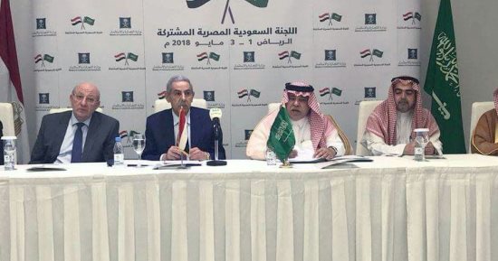 وزير الصناعة: 6.3 مليار دولار استثمارات سعودية بمصر فى 2017