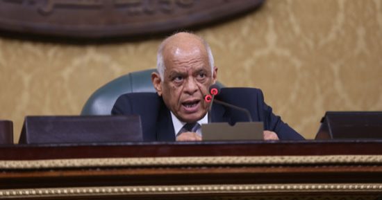 رئيس البرلمان عن المادة 236 من الدستور: الشيطان يكمن فى التفاصيل