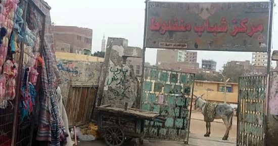 صور.. حمار يتجول بمركز شباب منفلوط.. وتخصيص 15 مليون جنيه لتطويره
