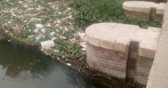 صور.. قارئ يناشد "الرى" لتطهير بحر أبو الأخضر فى الشرقية