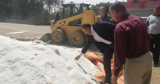 ضبط 8 طن ملح سياحات فاسد بالإسكندرية 