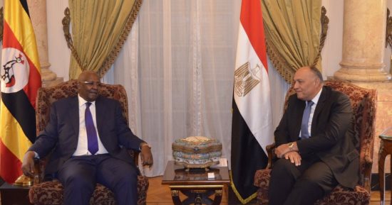 وزير الخارجية: مصر تعمل على نزع فتيل الأزمة بين دول القارة الأفريقية