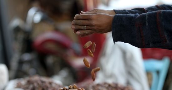 صورة اليوم.. حلاوة رمضان يا بلح ابريم