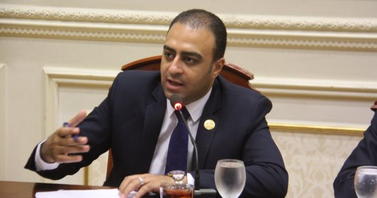نائب الوفد: "الصحة" وافقت على اعتماد 100 مليون جنيه لإنهاء مستشفى رمد المحلة