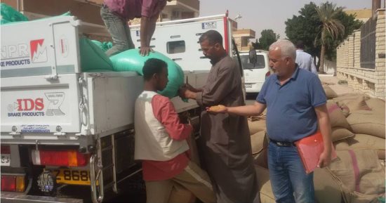 صور.. توريد 30 طن قمح لصوامع وشون جنوب سيناء