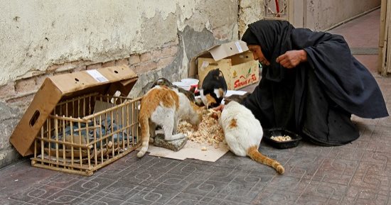صورة اليوم...الراحمون يرحمهم الله