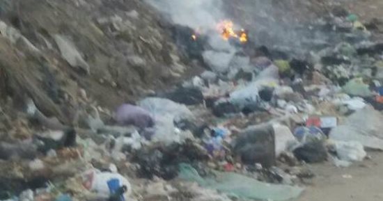 قارئ يشكو من تراكم القمامة بقرية شطانوف فى المنوفية