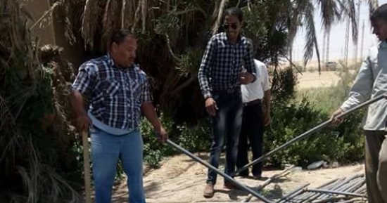 مياه القناه تزيل الخطوط المخالفة بالأراضى الزراعية بالسويس