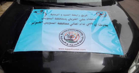 صور.. حملة لاصطياد الغربان بالسويس بعد مهاجمتها المواطنين