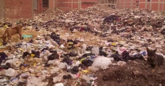 شكوى من تراكم أكوام القمامة بقرية البقوشى التابعة لمنطقة الخصوص