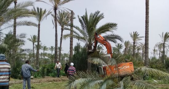 إزالة تعديات على 3 أفدنة من أملاك الدولة بكفر البطيخ بدمياط 