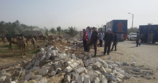 صور.. تنفيذ 10 قرارات إزالة تعديات على أراضى أملاك دولة فى إسنا بالأقصر