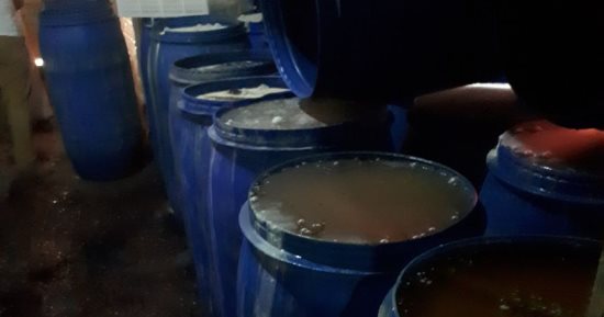 ضبط 25 طن ورق عنب غير صالح للاستهلاك الآدمى وغلق معملين للمخللات بالدقهلية 