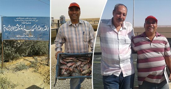 صور.. صحراء سيناء تنتج الأسماك.. نجاح باهر لتجربة أحواض السمك بمناطق جبلية فى الحسنة.. 5 مواقع تنتج أجود أنواع البلطى.. واستفادة إضافية بتصريف المياه للمزارع.. ونائب الدائرة: لا مستحيل فى سيناء