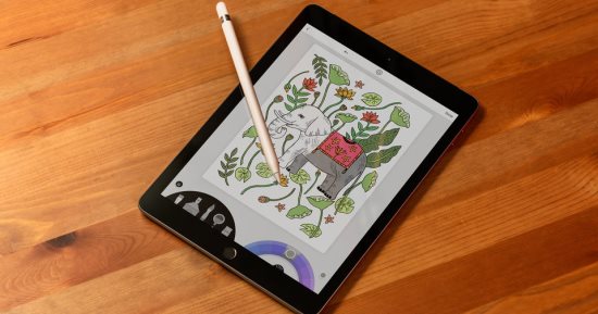 5 أسباب تدفعك لشراء الإصدار الأساسى من جهاز "أيباد" بدلا من iPad Pro