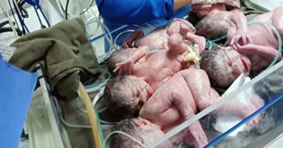 صور.. زوجة تضع 5 توائم بكفر الشيخ (تحديث)