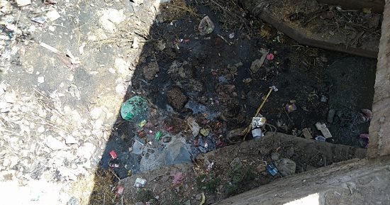 قارئ يشكو نقص مياه الرى بترعة عزبة التحسين فى الدقهلية