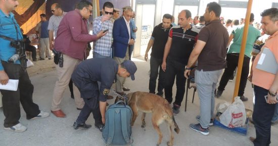مدير أمن المنيا يتفقد الخدمات المعينة لتأمين احتفالات دير العذراء 