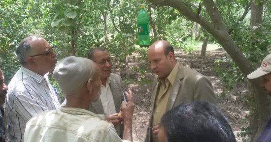 صور.. "الزراعة" تحذر مزارعى المشمش من استخدام مبيدات غير مسجلة
